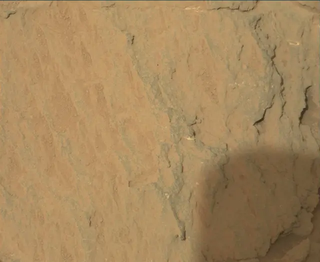 Sol 113: Mast Camera (Mastcam)
