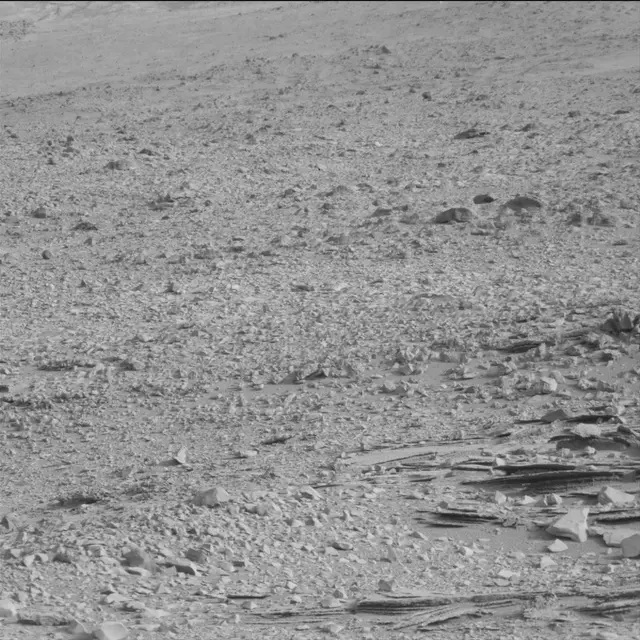 Sol 113: Mast Camera (Mastcam)