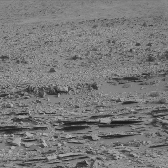 Sol 113: Mast Camera (Mastcam)