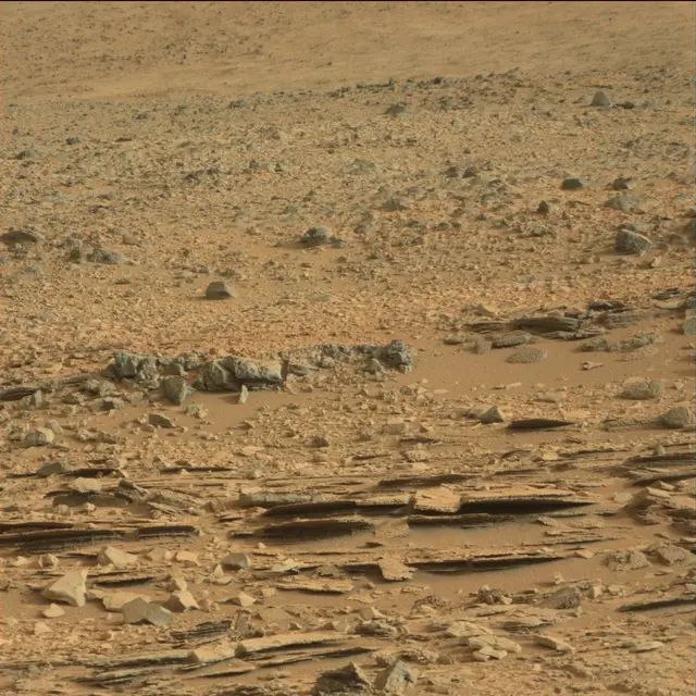 Sol 113: Mast Camera (Mastcam)