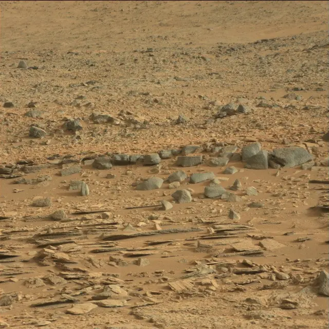 Sol 113: Mast Camera (Mastcam)