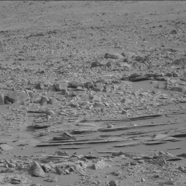 Sol 113: Mast Camera (Mastcam)