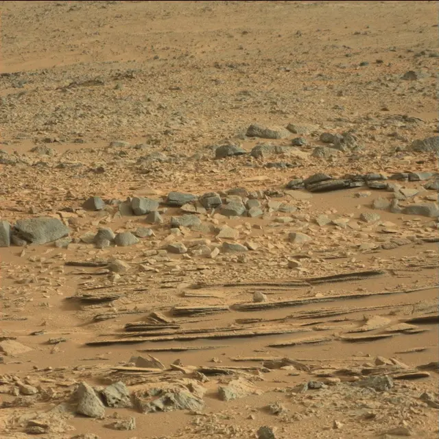 Sol 113: Mast Camera (Mastcam)