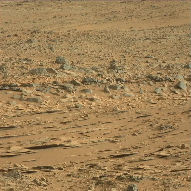 Sol 113: Mast Camera (Mastcam)