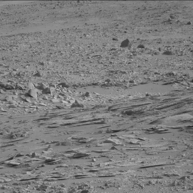 Sol 113: Mast Camera (Mastcam)