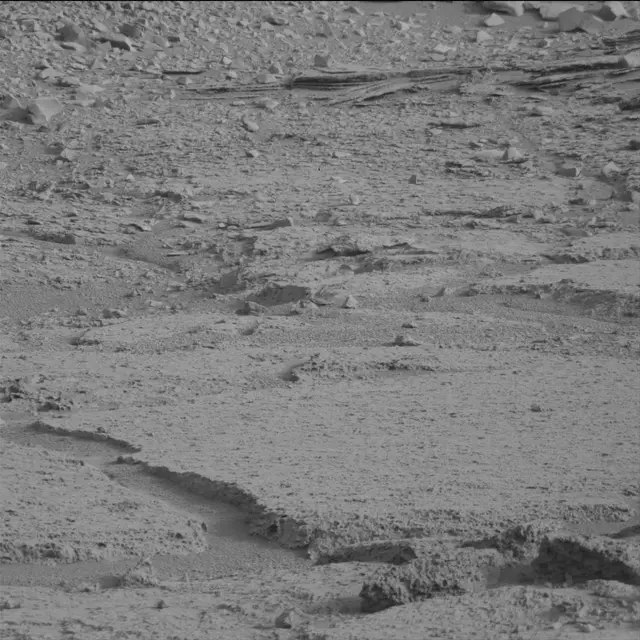 Sol 113: Mast Camera (Mastcam)