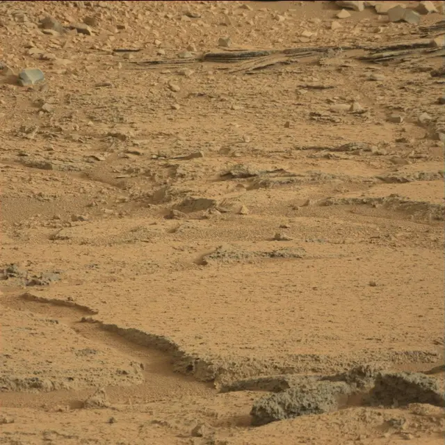 Sol 113: Mast Camera (Mastcam)