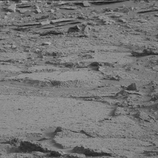 Sol 113: Mast Camera (Mastcam)