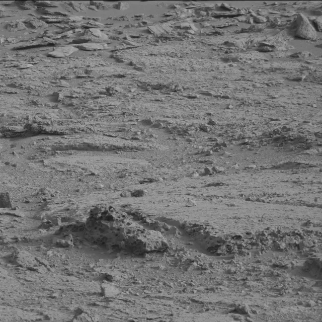 Sol 113: Mast Camera (Mastcam)
