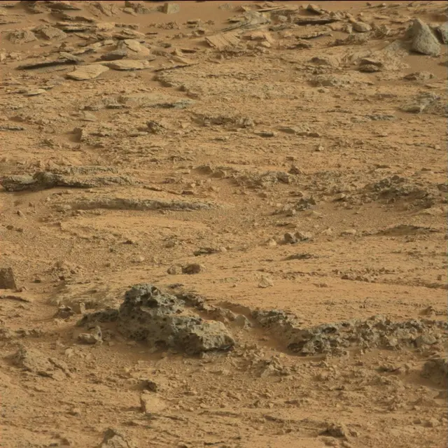 Sol 113: Mast Camera (Mastcam)