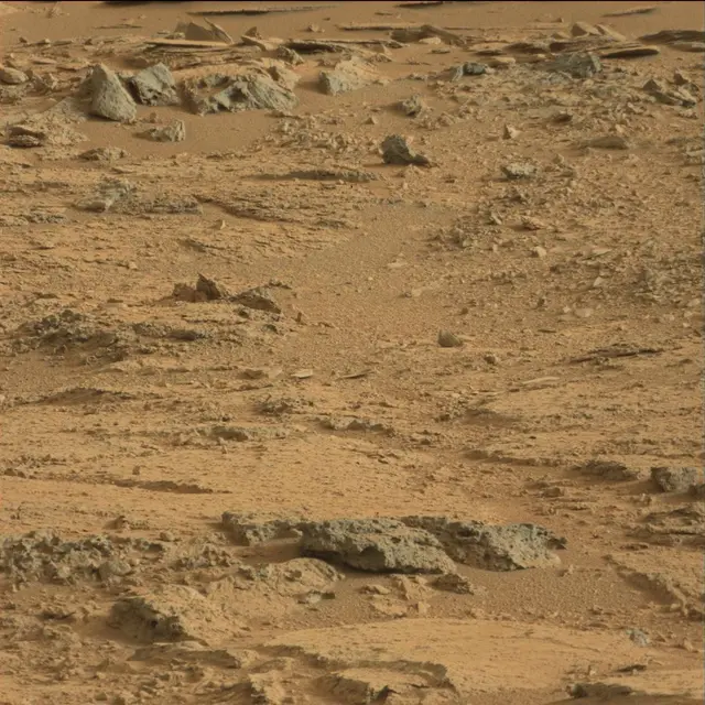 Sol 113: Mast Camera (Mastcam)
