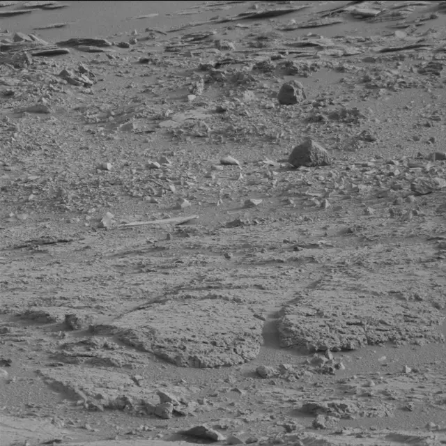 Sol 113: Mast Camera (Mastcam)