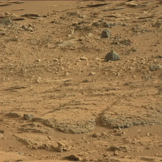 Sol 113: Mast Camera (Mastcam)