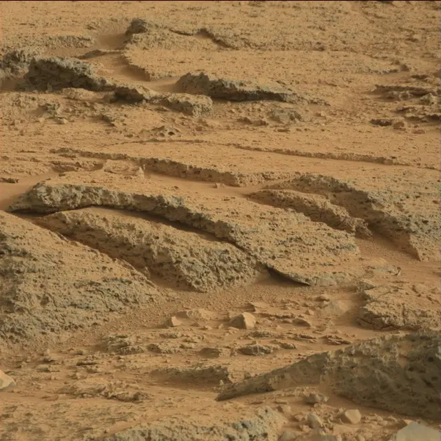 Sol 113: Mast Camera (Mastcam)