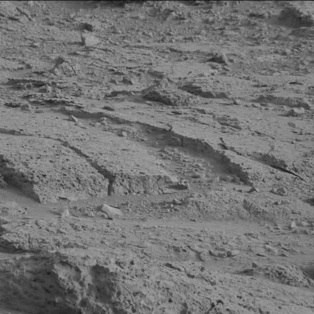 Sol 113: Mast Camera (Mastcam)