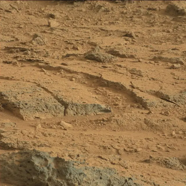 Sol 113: Mast Camera (Mastcam)