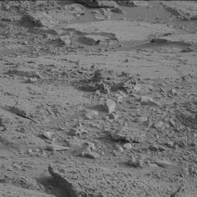 Sol 113: Mast Camera (Mastcam)