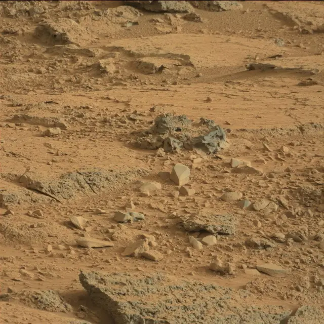 Sol 113: Mast Camera (Mastcam)