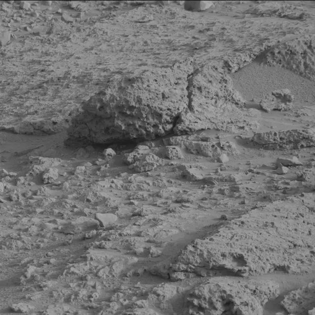 Sol 113: Mast Camera (Mastcam)