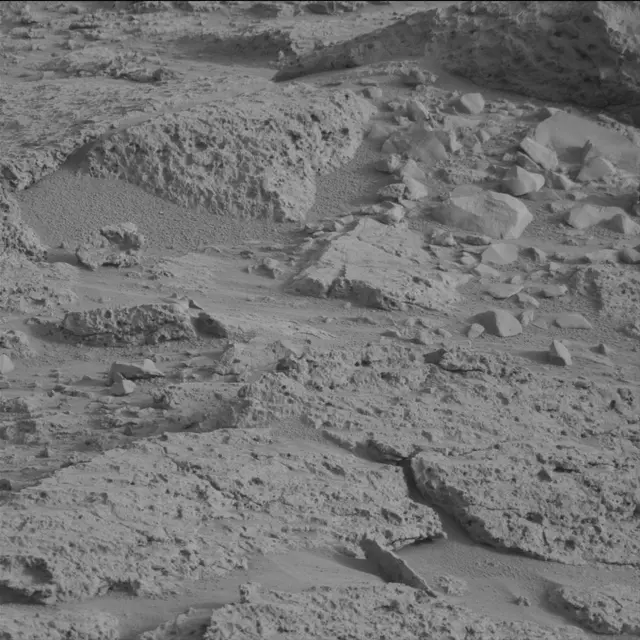 Sol 113: Mast Camera (Mastcam)