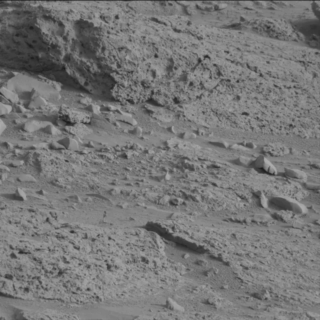 Sol 113: Mast Camera (Mastcam)