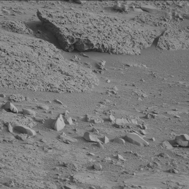 Sol 113: Mast Camera (Mastcam)