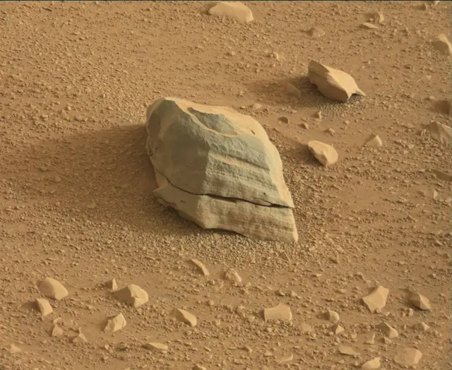 Sol 113: Mast Camera (Mastcam)