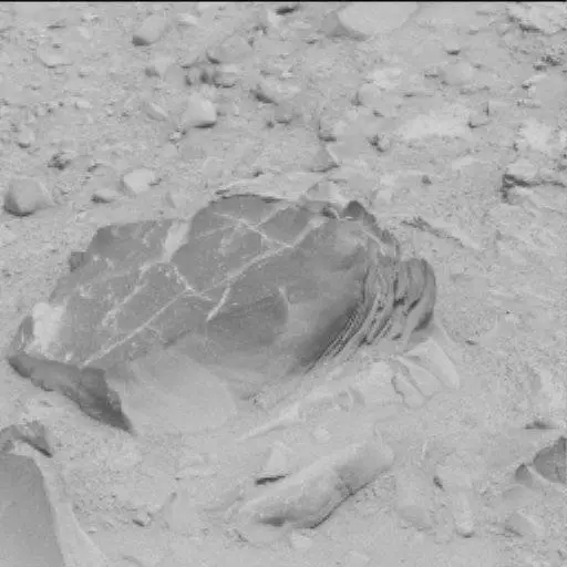 Sol 114: Mast Camera (Mastcam)