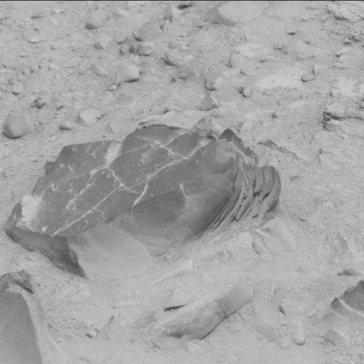 Sol 114: Mast Camera (Mastcam)