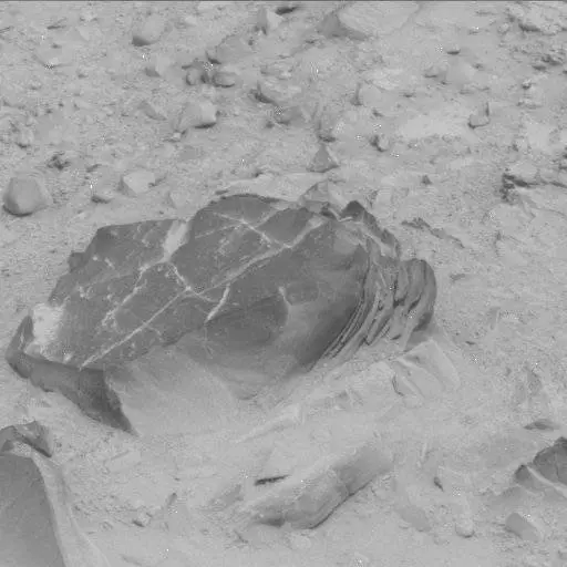 Sol 114: Mast Camera (Mastcam)