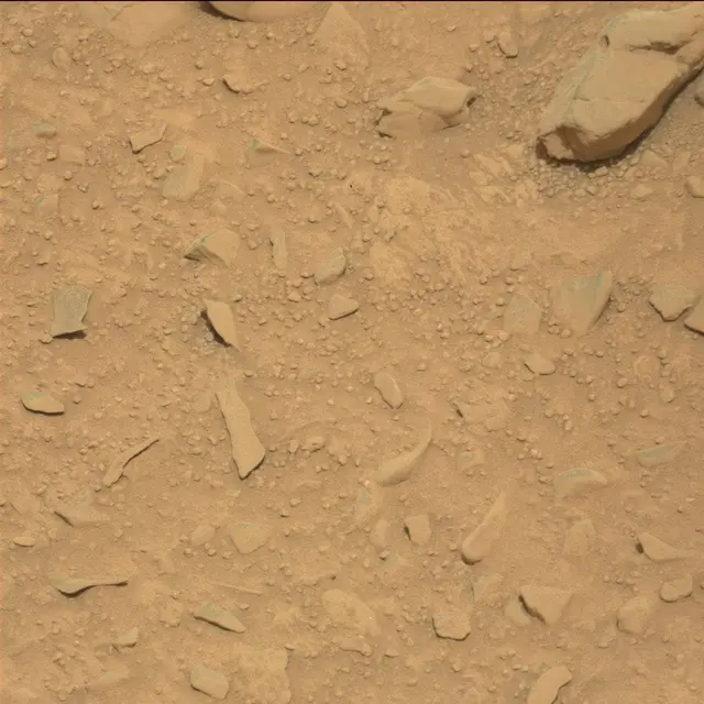 Sol 114: Mast Camera (Mastcam)