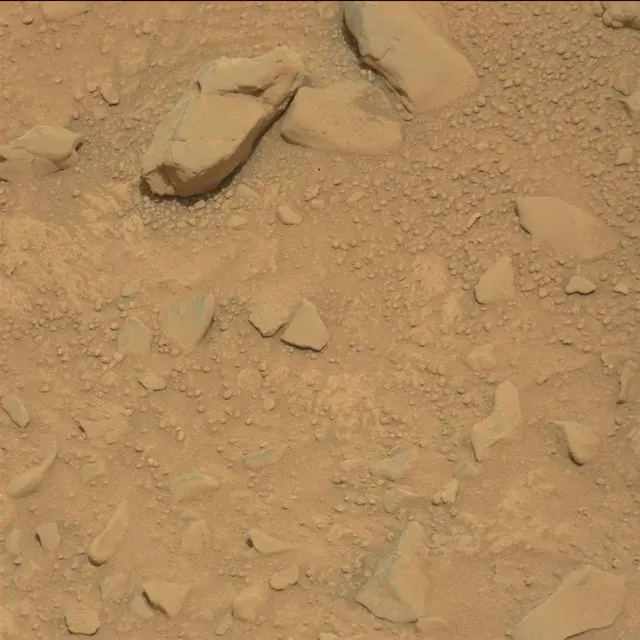 Sol 114: Mast Camera (Mastcam)