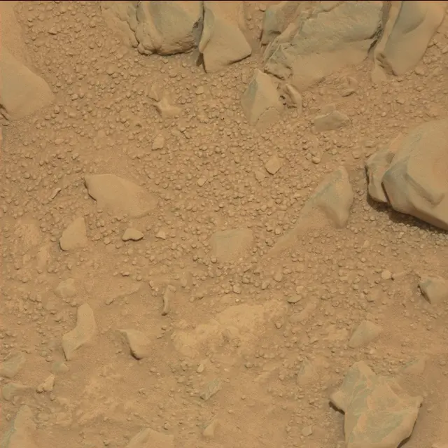 Sol 114: Mast Camera (Mastcam)
