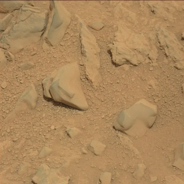 Sol 114: Mast Camera (Mastcam)