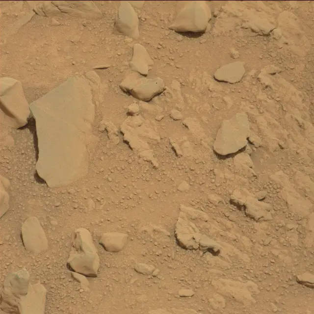 Sol 114: Mast Camera (Mastcam)