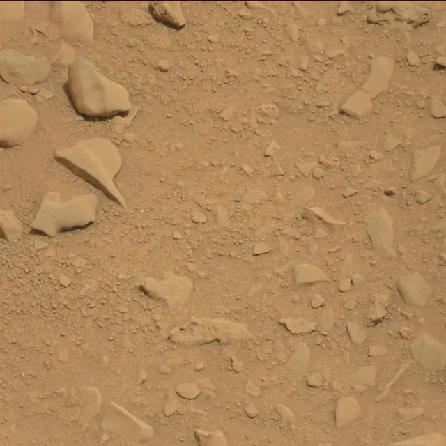Sol 114: Mast Camera (Mastcam)