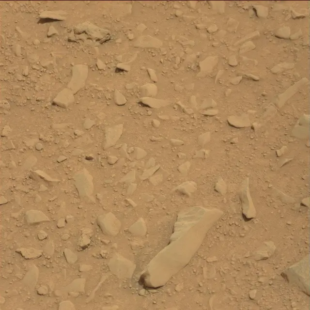 Sol 114: Mast Camera (Mastcam)