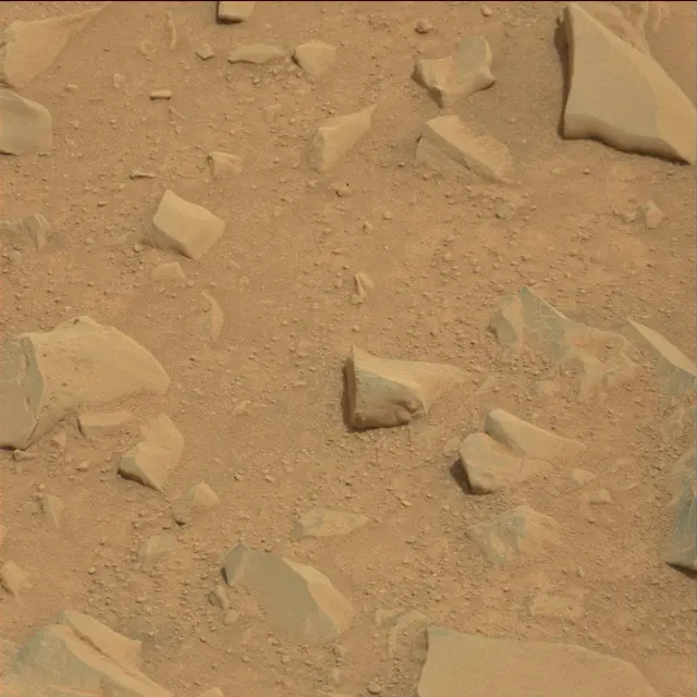 Sol 114: Mast Camera (Mastcam)