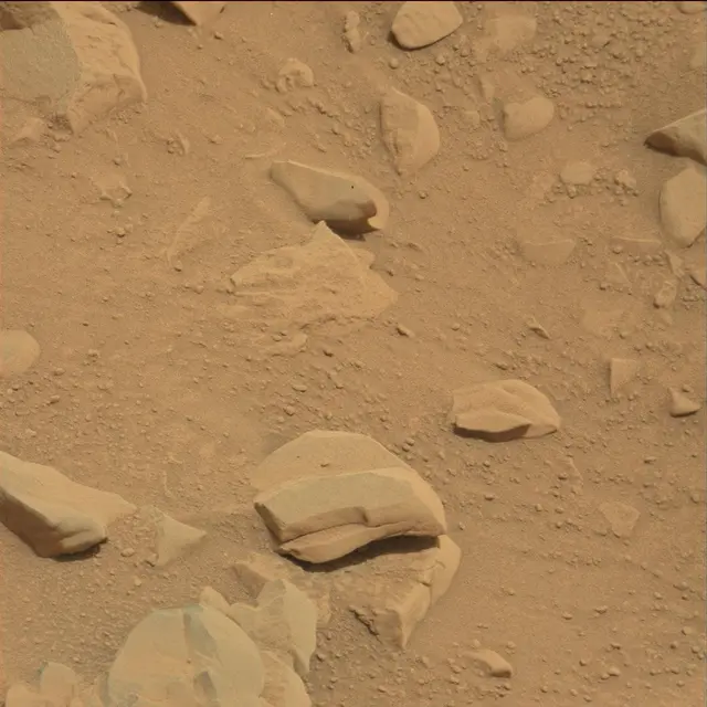 Sol 114: Mast Camera (Mastcam)