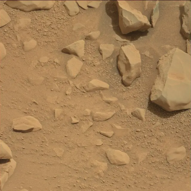 Sol 114: Mast Camera (Mastcam)