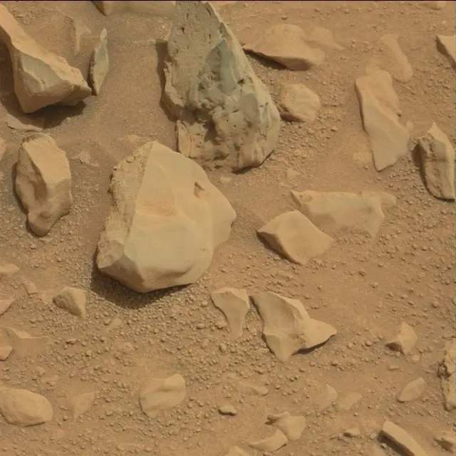Sol 114: Mast Camera (Mastcam)