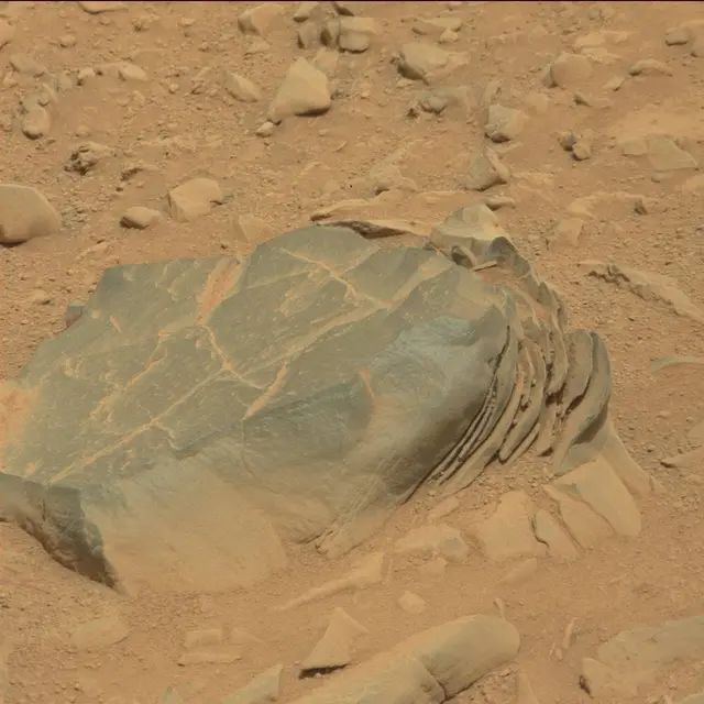 Sol 114: Mast Camera (Mastcam)