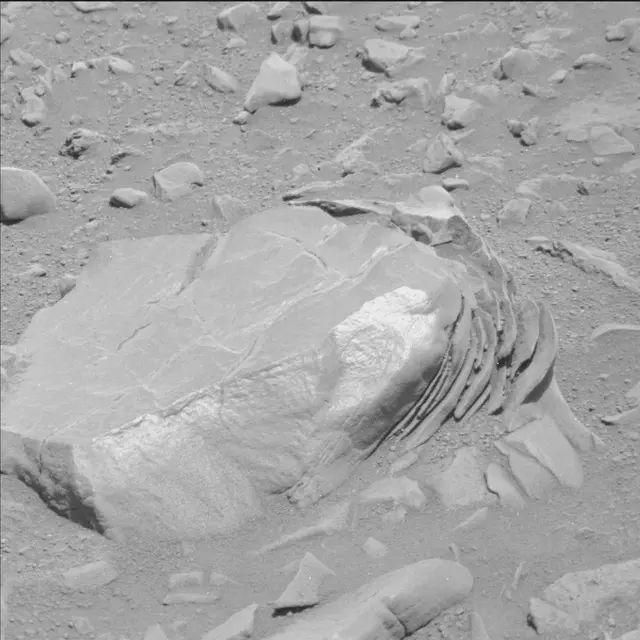 Sol 114: Mast Camera (Mastcam)
