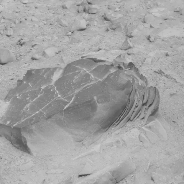 Sol 114: Mast Camera (Mastcam)