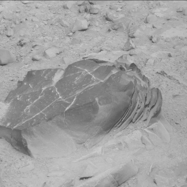 Sol 114: Mast Camera (Mastcam)