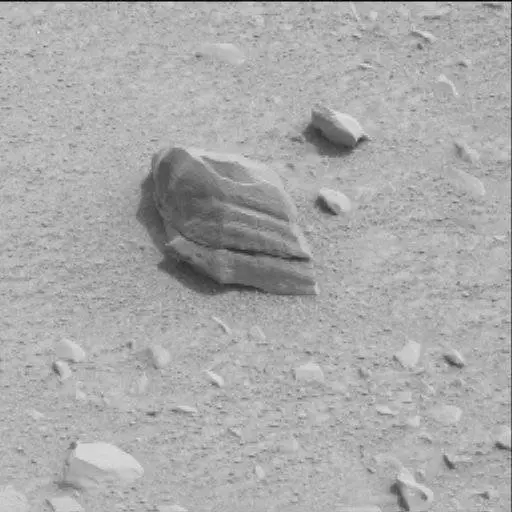 Sol 116: Mast Camera (Mastcam)