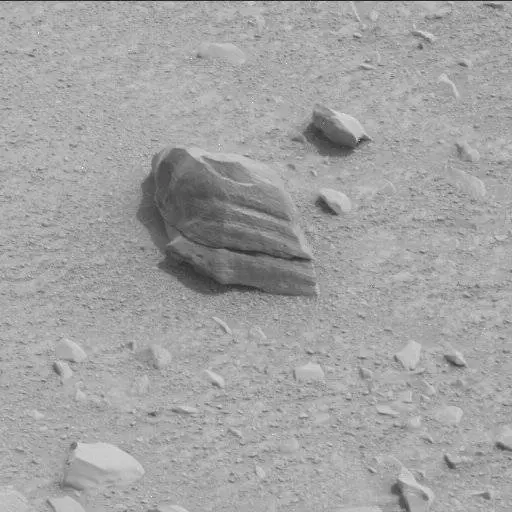 Sol 116: Mast Camera (Mastcam)