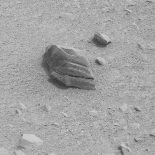 Sol 116: Mast Camera (Mastcam)