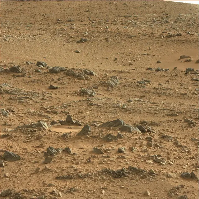 Sol 118: Mast Camera (Mastcam)