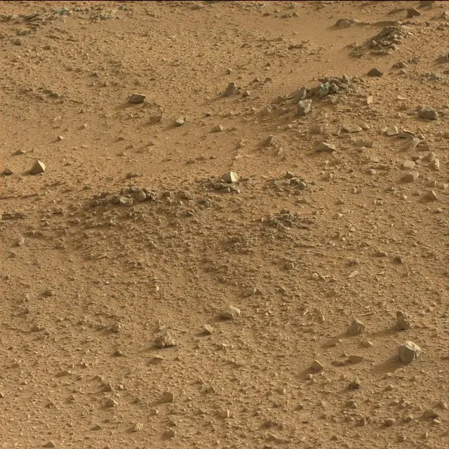 Sol 118: Mast Camera (Mastcam)
